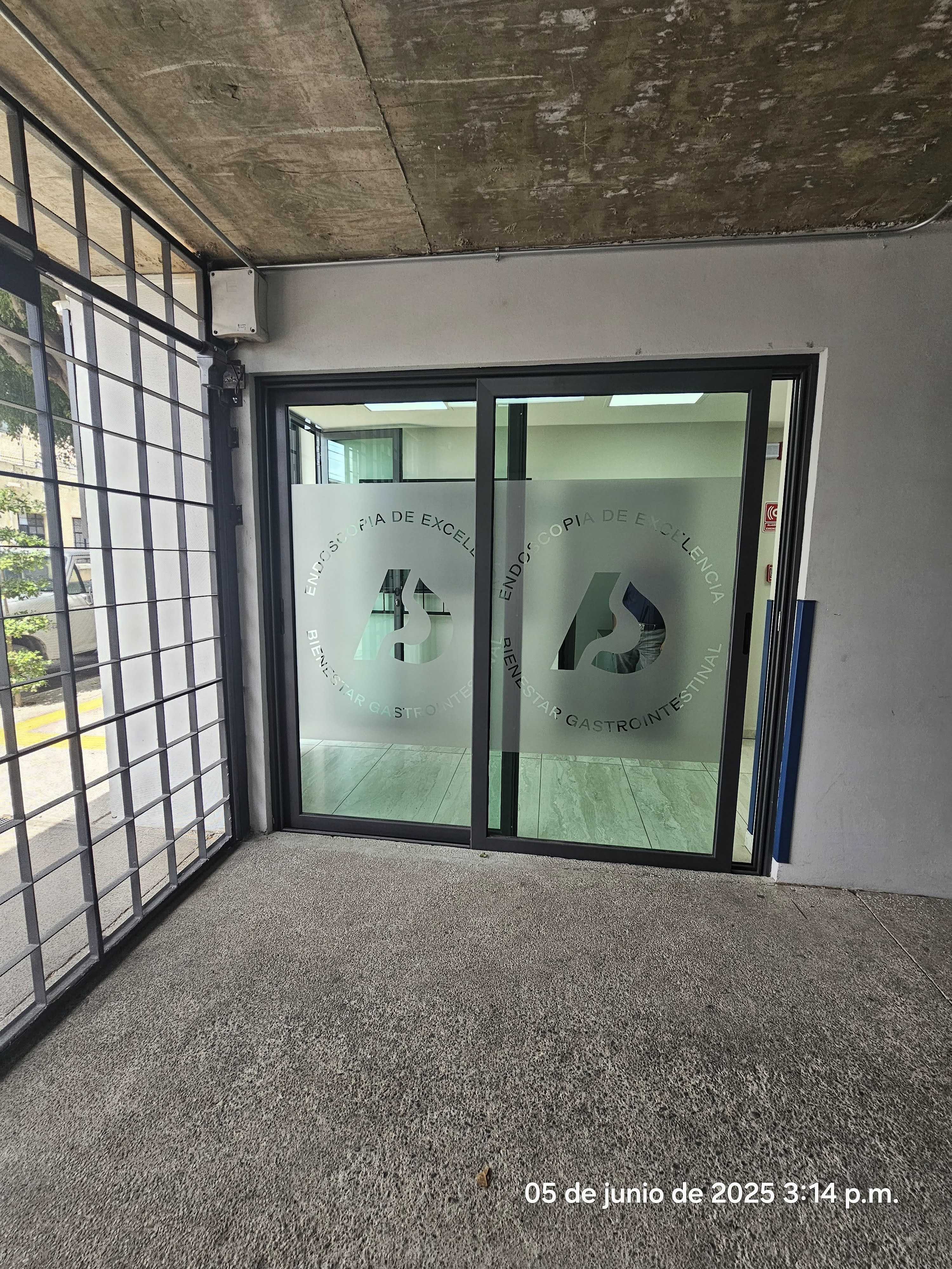 Polarizado deportivo